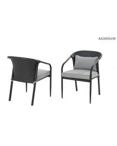 CANVAS Jasper 2-Pack Cushioned Dining Chairs