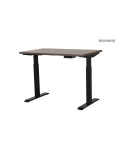 Emory Sit Stand Desk
