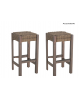 Catalina Bar Stool 2Pk