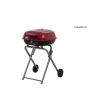 Portable Charcoal Grill